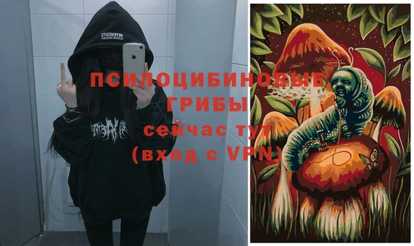 бошки Алзамай