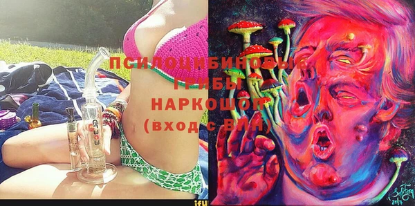 стаф Алексеевка