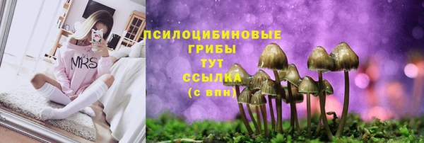 стаф Алексеевка